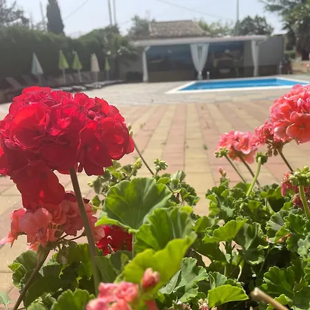 Casa vacanze Refined In With Private Pool Enna