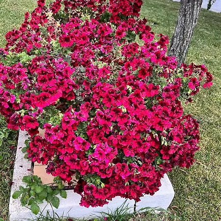 Casa vacanze Refined In With Private Pool Enna