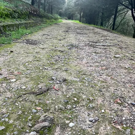 Refined In With Private Pool *