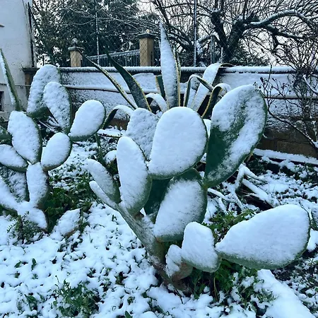 Refined In With Private Pool Casa vacanze *